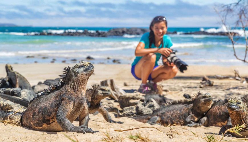 Isla Isabela, Galápagos: territorio volcánico, aventura y fauna única