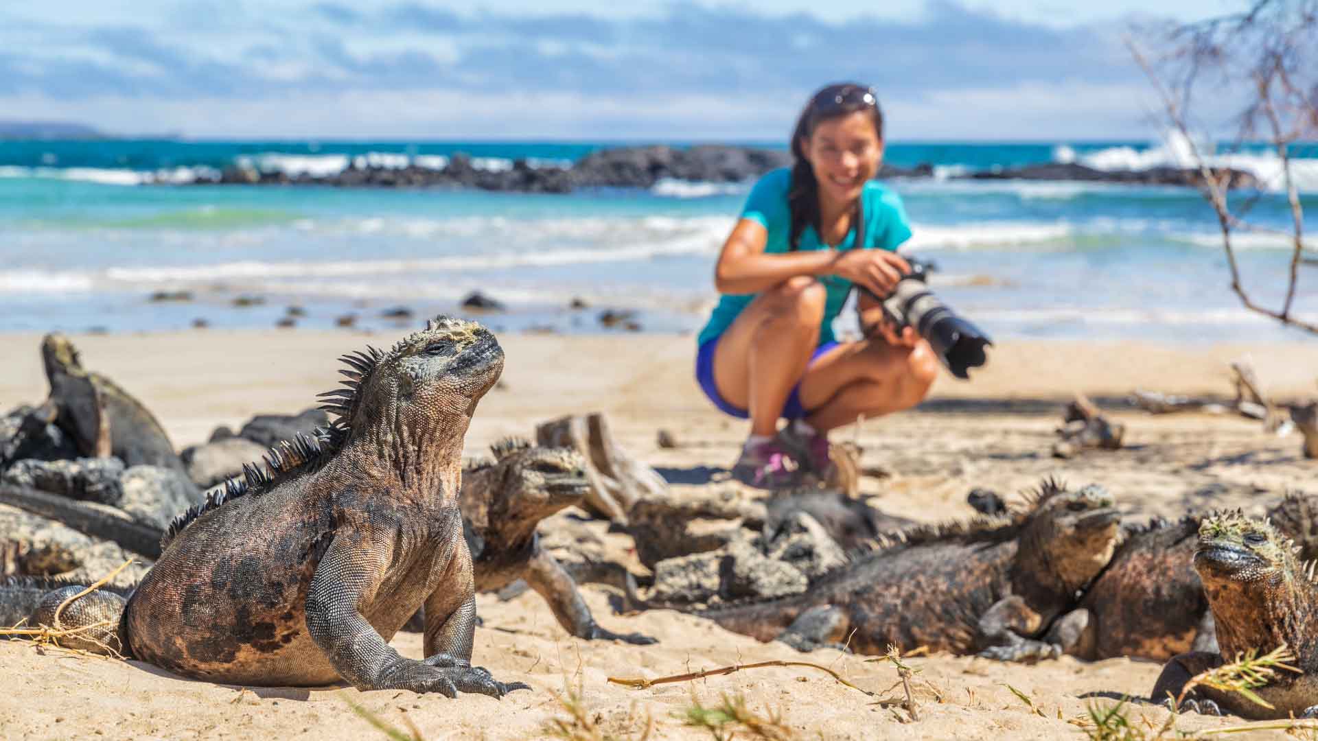 Isla Isabela, Galápagos: territorio volcánico, aventura y fauna única