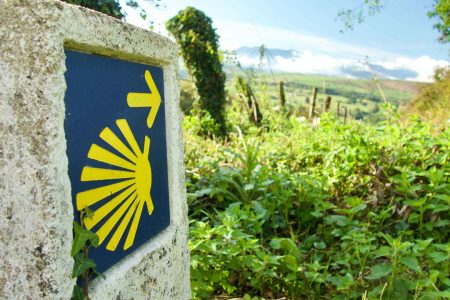 Camino de Santiago: la ruta milenaria y el valor cultural de la travesía Jacobea