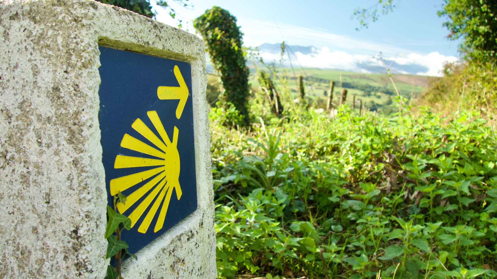 Camino de Santiago: la ruta milenaria y el valor cultural de la travesía Jacobea