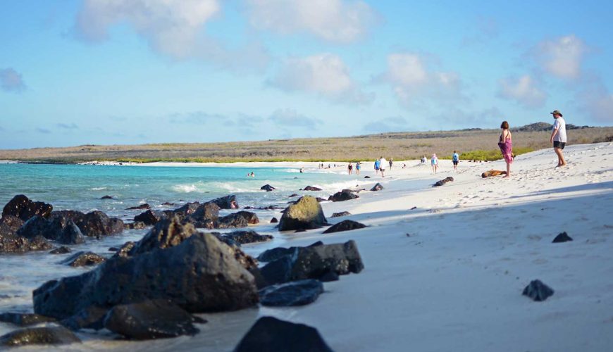 ¿Cuándo ir a Galápagos?