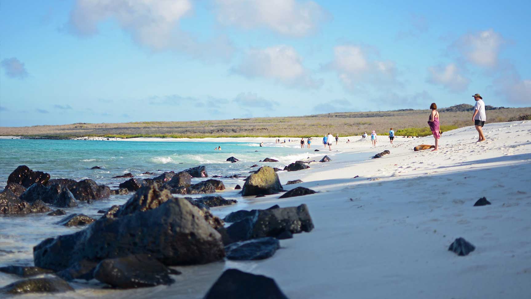 ¿Cuándo ir a Galápagos?