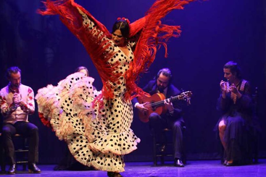 Tour España y Portugal: Madrid, Sevilla, Lisboa y Oporto 11 días desde $3889