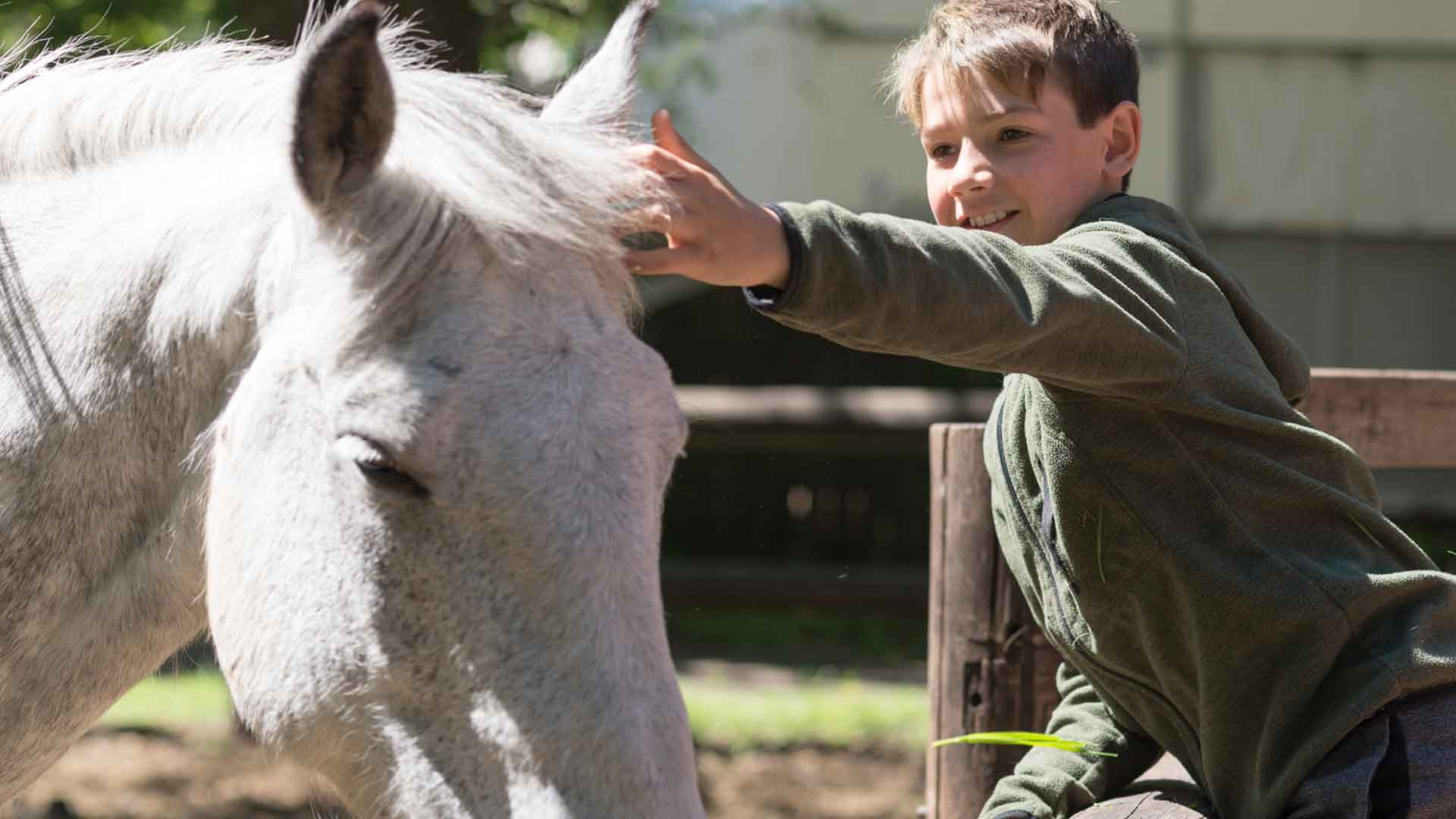 Cabalgata