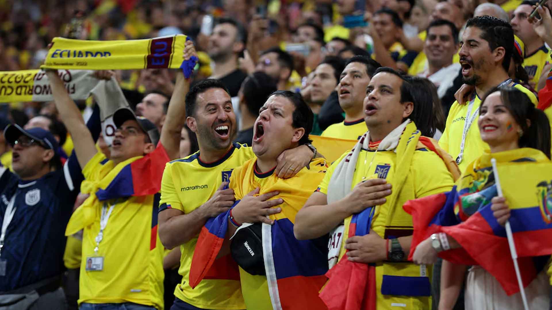 Los mejores paquetes para ir a ver a La Tri